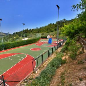 Campi_basket_2011 (1).jpg